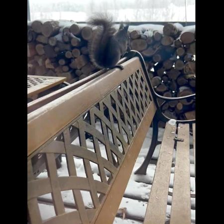 Ritz Garden Niji Konuk evi Biei Dış mekan fotoğraf