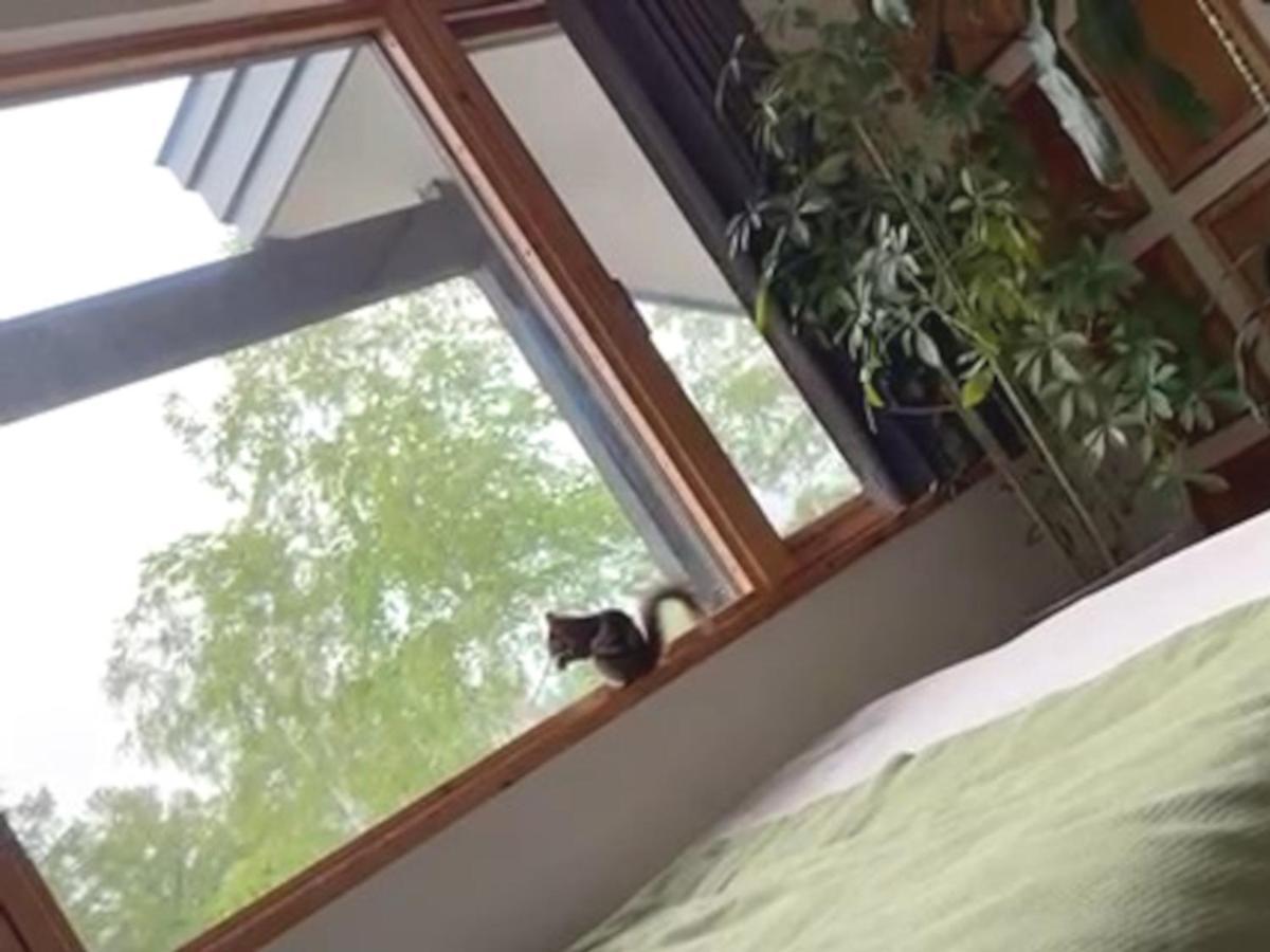 Ritz Garden Niji Konuk evi Biei Dış mekan fotoğraf
