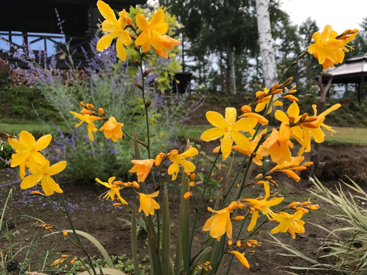 Ritz Garden Niji Konuk evi Biei Dış mekan fotoğraf